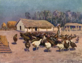 A Summer